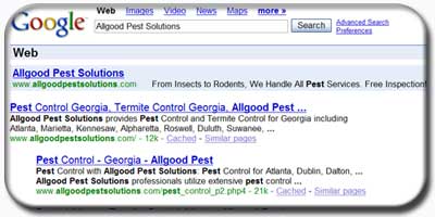 Search Engine Optimization