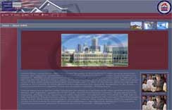 Website Developers & Designers