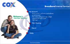 Website Developers & Designers