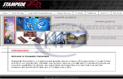 Website Developers & Designers