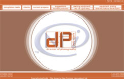 Website Developers & Designers